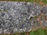 image of grave number 915546
